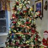 Weihnachtsbaum von Carol D (Manchester, NH 03104 )
