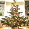 Weihnachtsbaum von Lisa (Rochester, NY)
