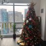 Weihnachtsbaum von David and Stephanie Toljanich (Toronto, Ontario )