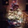 Árbol de Navidad de Tracey Sample (Missouri)