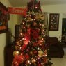Maria Eugenia Gomez's Christmas tree from Panama, Chorrera