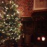 Árbol de Navidad de Fraser?s Tree (Norfolk, England)