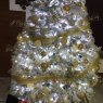 Gabriel y Crystal 's Christmas tree from Puebla, México 