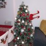 Alejandro's Christmas tree from Sevilla