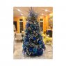 Mariela Lopez 's Christmas tree from Pinecrest, florida, Usa 
