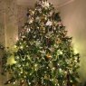 Fern Barlow's Christmas tree from Hertfordshire, United Kingdom