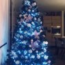 ckomsi's Christmas tree from Lausanne, Suisse