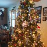 Árbol de Navidad de Time will bring a Cure (Chenango Forks, NY)