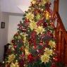 Pao Allmore's Christmas tree from San Borja. Lima-Per? 