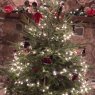 Jodie Romine's Christmas tree from Springfield, Ohio