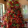 Garrett L Orgonista's Christmas tree from Cape Coral FL