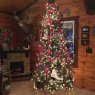 Beth Chestnut 's Christmas tree from Ohio, USA