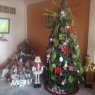 Árbol de Navidad de Dalia Delgado Alvares  (Ciudad Narcisista de Jesús Nobol Ecuador )