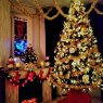 Árbol de Navidad de YANN NEIGER (Mulhouse)