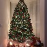 Carlota's Christmas tree from Islas Canarias 
