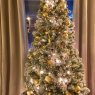 Portia 's Christmas tree from USA