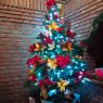 Caro's Christmas tree from Bah?a Blanca  , argentina