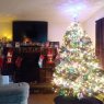 Árbol de Navidad de The Jones Family (Ashland, KY)