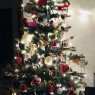 My Christmas Tree's Christmas tree from Switzerland