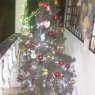Emmanuel Maytorena's Christmas tree from Acapulco, Gro. México