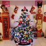 PAMELA GRANADOS's Christmas tree from CDMX, M?XICO 