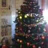 Kodylaky's Christmas tree from Barcelona