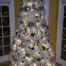 Doug Duncan's Christmas tree from Las Vegas, NV, USA