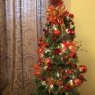Dana 's Christmas tree from Baku