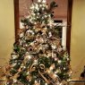 Nancy Bravi's Christmas tree from Campbell Hall,  NY