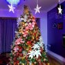 Chaitali Dutta's Christmas tree from London