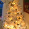 DEYCO 's Christmas tree from WASHINGTON