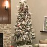 JOHN MICHAEL PERRY's Christmas tree from Winchester Virginia 