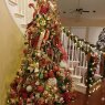 Joy to the World's Christmas tree from Houston, TX