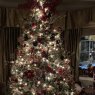 Karen and Gord's Christmas tree from Sudbury, Ontario, Canada