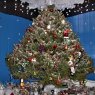 ROBERT REYNOLDS's Christmas tree from Northford, Ct  USA