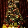 Nicola james 's Christmas tree from Pembrokeshire Wales 