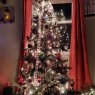 Cindy Martin's Christmas tree from Louisiana, MO