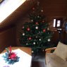 Janina Bugla's Christmas tree from Wodzis?aw ?l?ski, Pologne