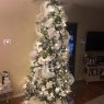 Kathlena 's Christmas tree from Providence RI