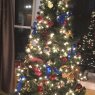 Weihnachtsbaum von Sharon (Milford, PA)