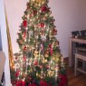Colleen Parker's Christmas tree from New York City