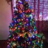 Linda G.'s Christmas tree from Gary, IN, USA
