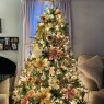Jessica Stout's Christmas tree from Pittsford, VT, USA