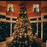 Árbol de Navidad de Daddy helps my 2 kids put angel on our tree (Bailieborough  co cavan rep of Ireland)