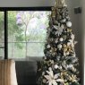 Theodora 's Christmas tree from Sydney Australia 