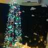 Jimmy Quiroga 's Christmas tree from Santa Cruz Bolivia