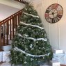 Árbol de Navidad de Earles Fam (Virginia USA)