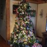 Warm Feelings of Christmas!'s Christmas tree from Troy, NC