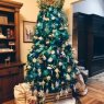 Claudia's Christmas tree from Estados unidos 