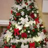 Weihnachtsbaum von Barth  (Petite rosselle )